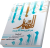 شرح النضید کتاب صلات (جلد 5)