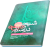 شیعه در اسلام